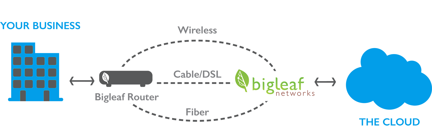 simplified-bigleafblue